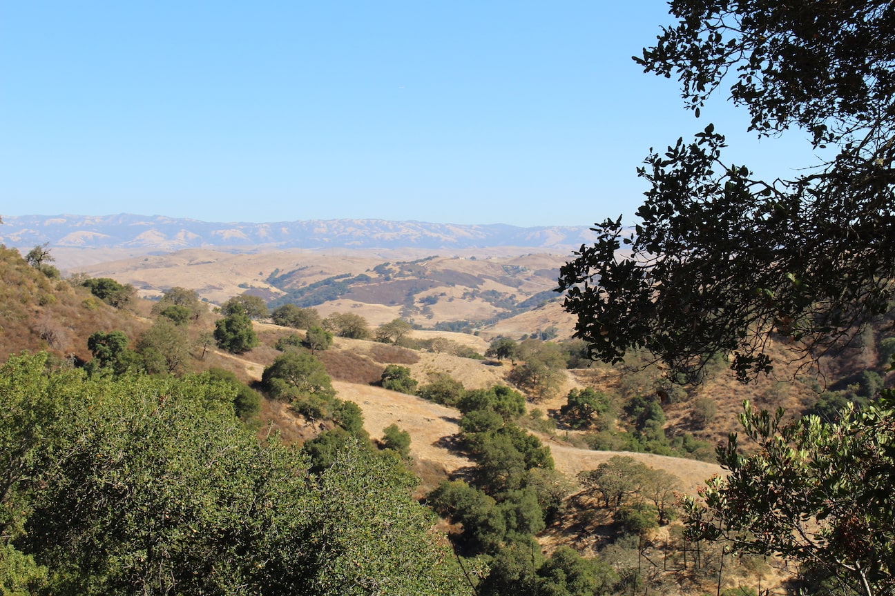 Almaden Quicksilver photo