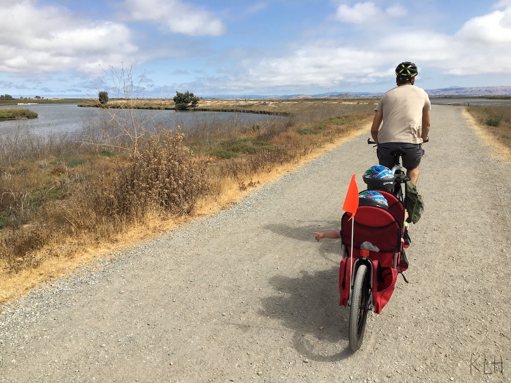 Bay Trail Shoreline Park pic