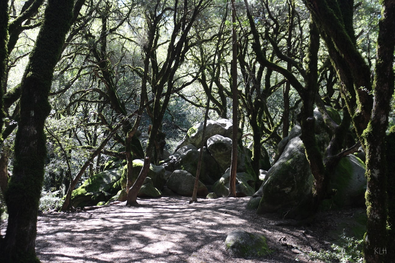 Castle Rock State Park picture