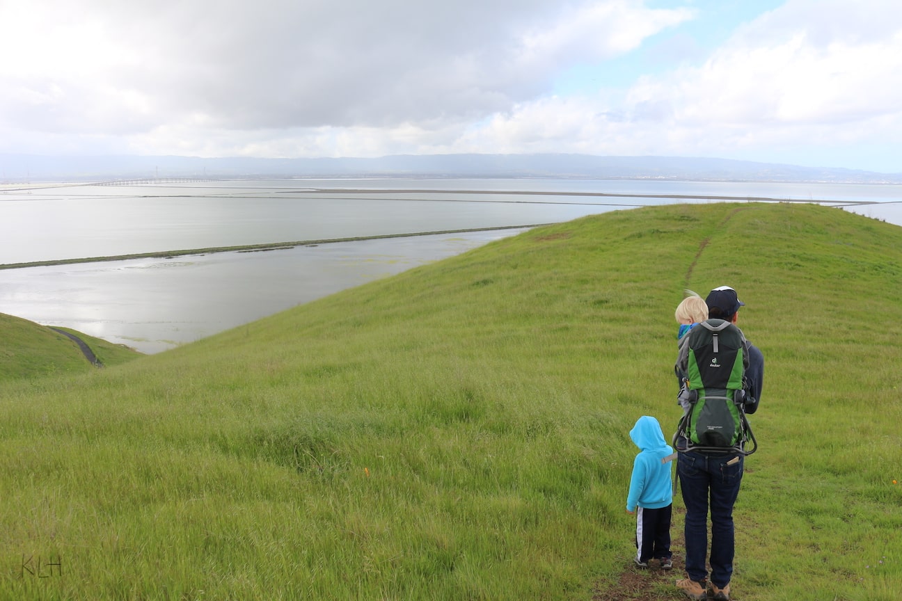 Coyote Hills pic