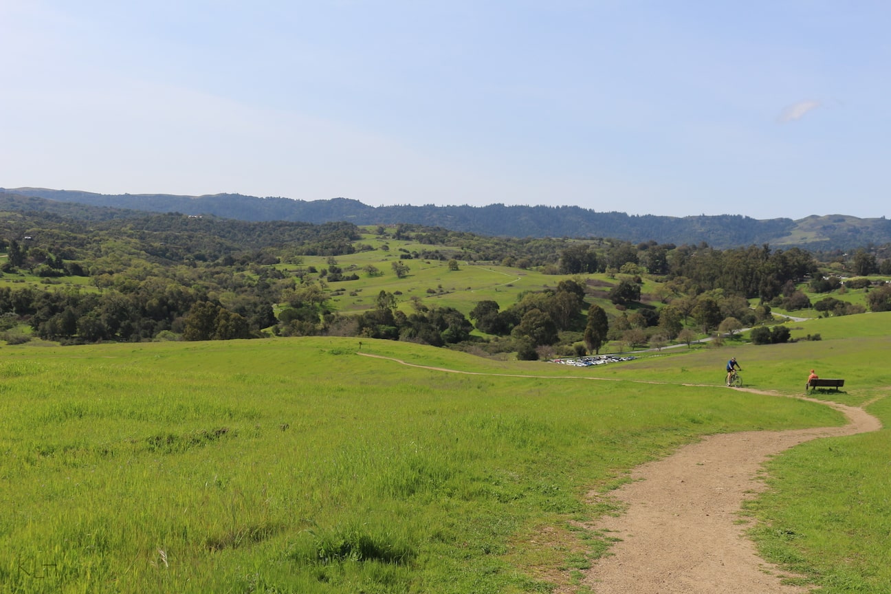 Pearson Arastradero picture