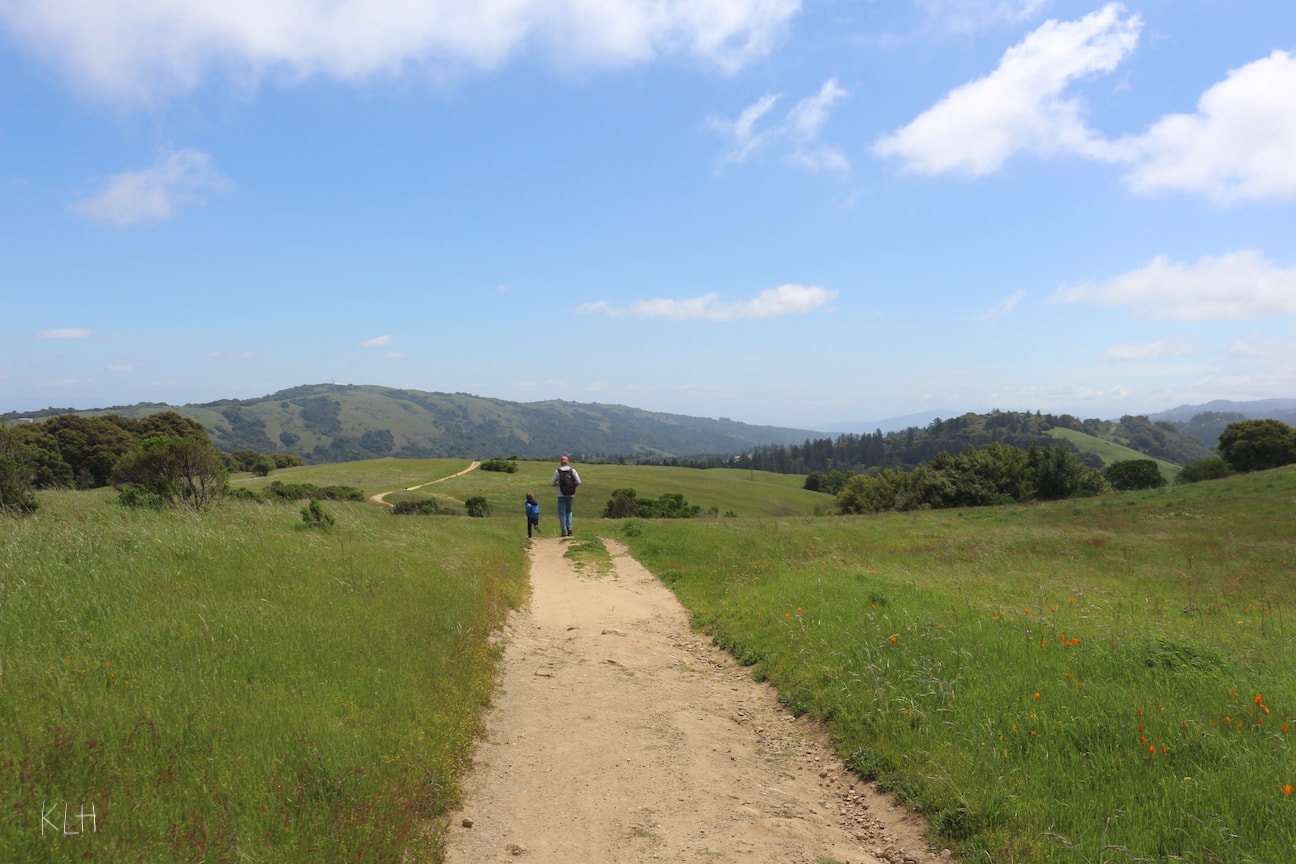 Russian Ridge picture