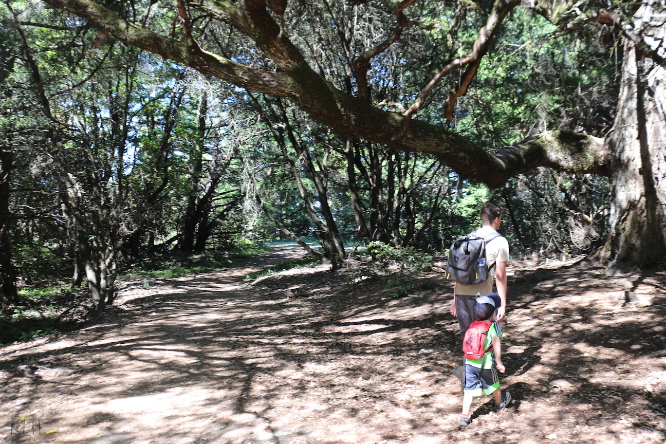 Sunnyvale Mountain trailhead pic